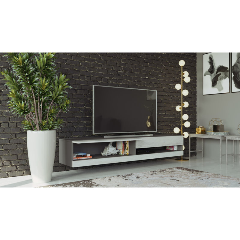 Coan TV Stand for TVs up to 78", Grey/White Monaco