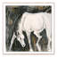White Horse I Print by Donna Bernstein-832002878-832002873