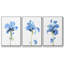 Striking Blue Iris I, ensemble de 3 toiles encadrées-97946120-97946123