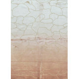 Tibetan Hand Woven Silk and Wool Abstract Area Rug