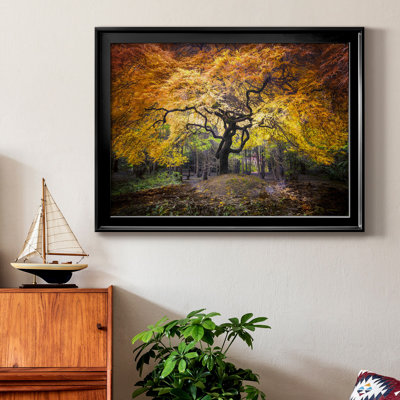 Hidden Jewel - Photographie avec cadre photo
