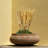 Duboce Arrangement