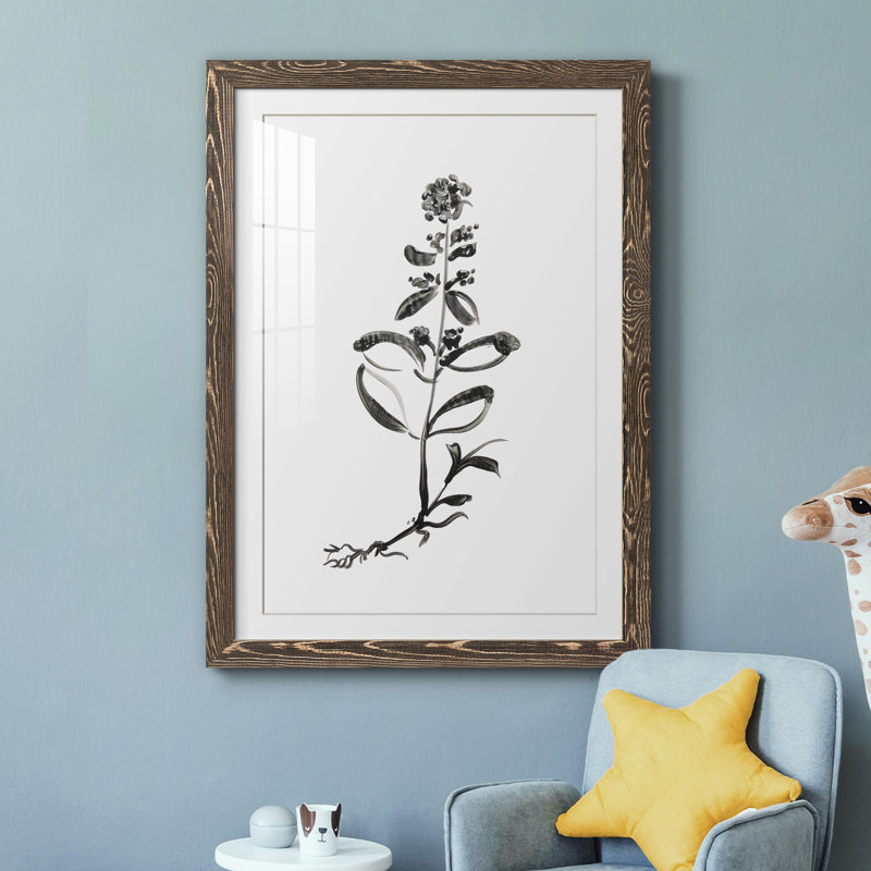 Inky Botanical III - peinture encadrée, H 37,5 po x l 27,5 po x P 1,5 po, Encadré de bois de noyer