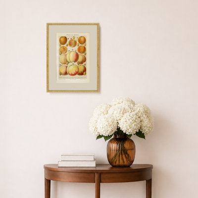 Art mural Martha Stewart Bedford, Orchard Study: Peaches, 17,75 po x 23,75 po, décor de salon et de chambre à coucher, encadré