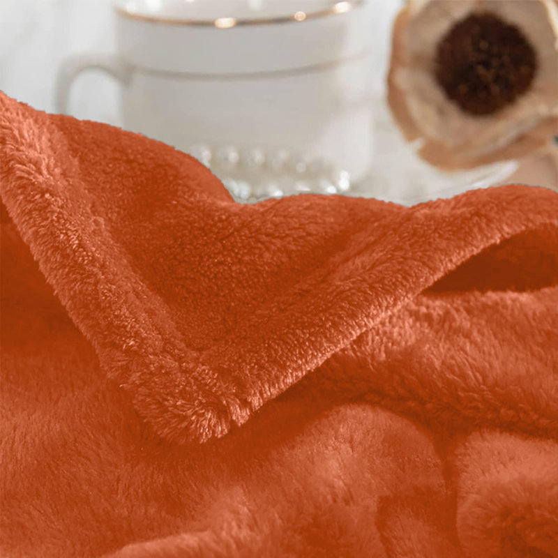 Aspire Homeware Ultra-Soft Hotel Quality Reversible Plain Weave Fleece Throw Blanket, Kingsize (200cm W x 240cm L), Rust