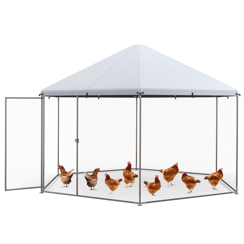 Evanka Walk In Chicken Run