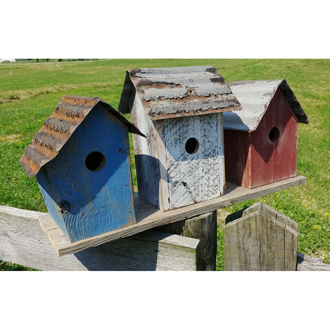 Bird in Hand Union Trio 22 in x 11 in x 6.5 in Birdhouse Home Bazaar