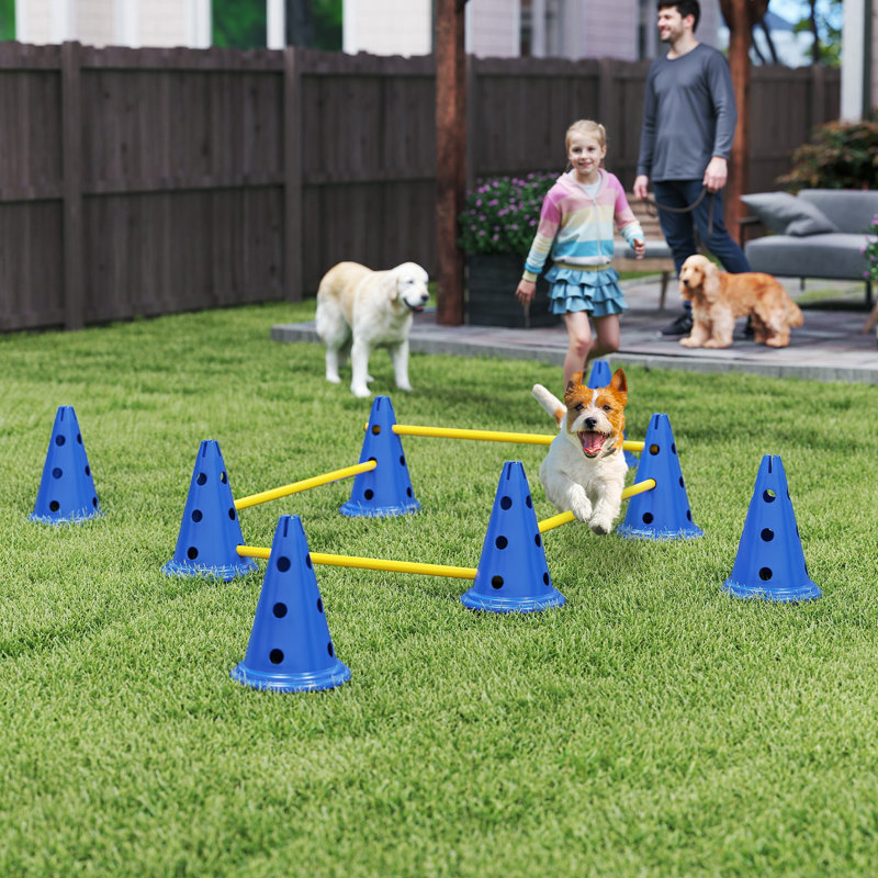 30cm H Plastic Dog Agility, Blue