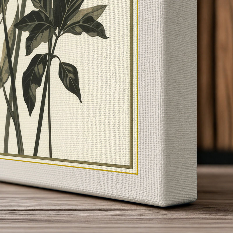 Carnation Study Botanical - Wrapped Canvas, Cream Border, 30x20 - 76.2 x 50.8 cm