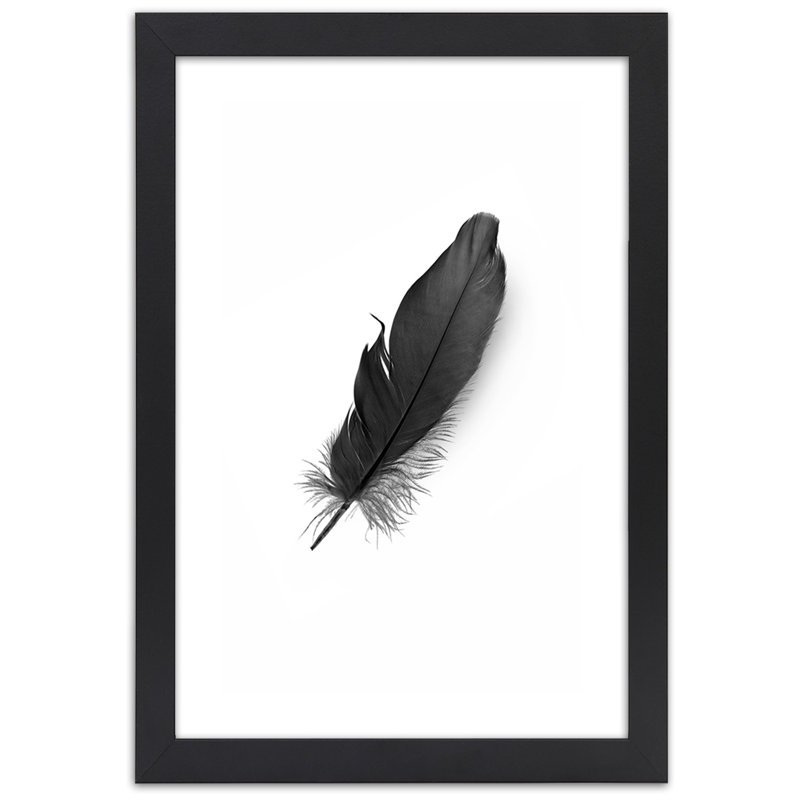 Black Feather Nature - Single Picture Frame Print, 100cm H x 70cm W, Black