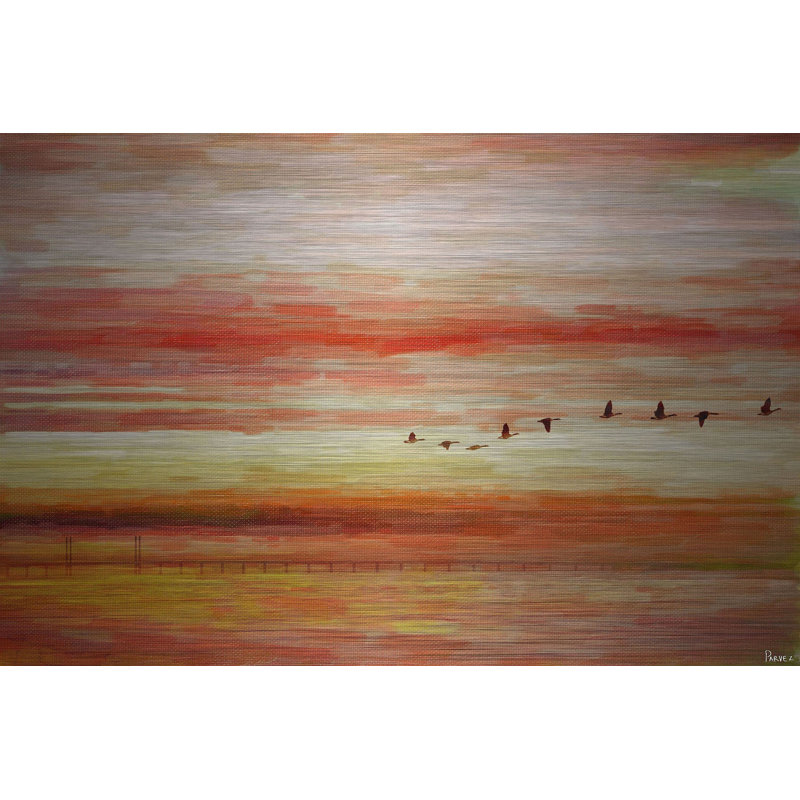 Reproduction de photo sur métal « flying south » par parvez taj, H 20 po x l 30 po x P 1,5 po