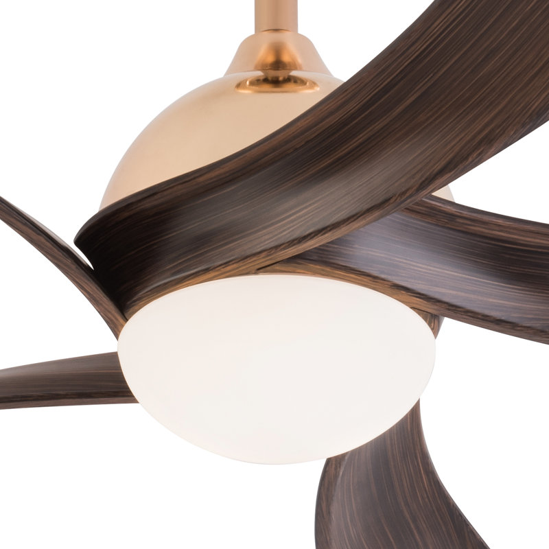 52Inch 5 Blades 3 Color Ceiling Fan Light With Remote Control White, Gold, Brown