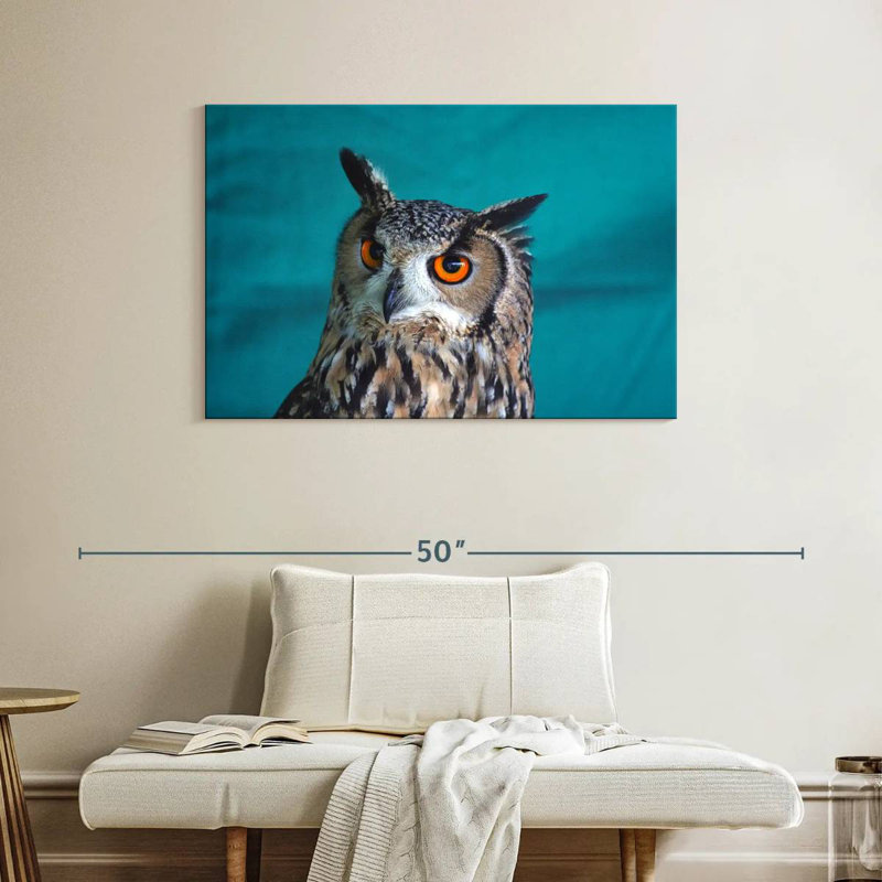 Charming Tiger Owl