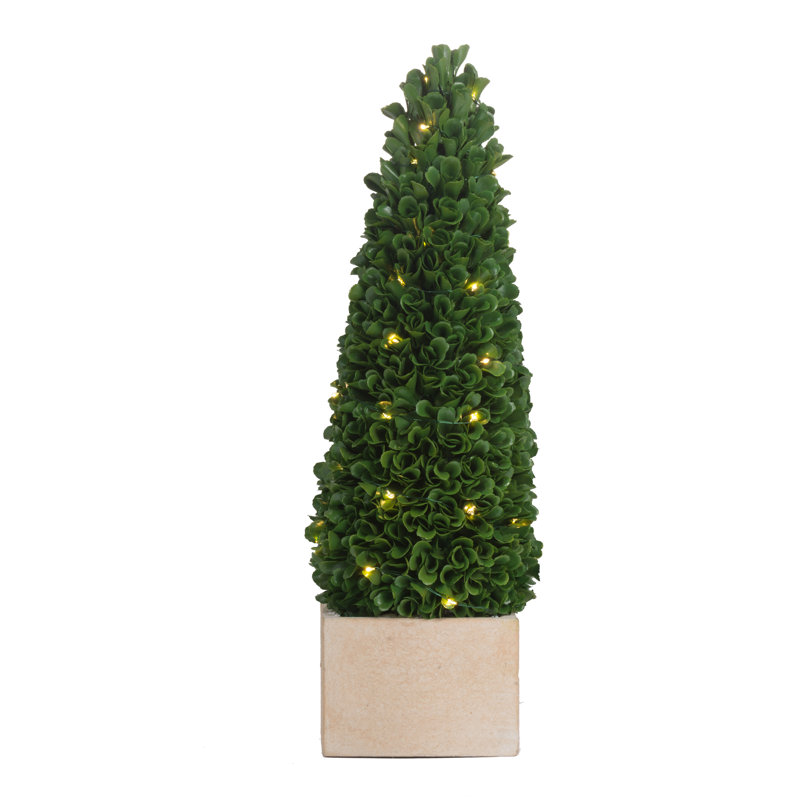 Luminous Green Boxwood 15.5'' Plastic Topiary in Terracotta Pot
