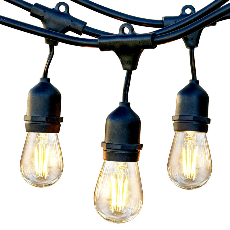24 ft Black LED Outdoor String Lights with Warm White Edison Bulbs