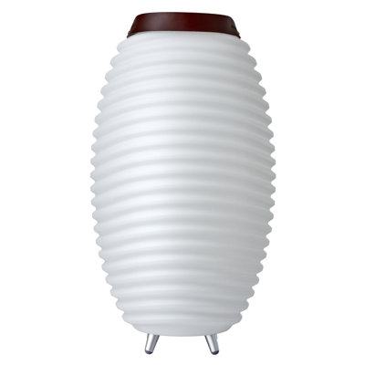 Synergy 50 Portable Speaker
