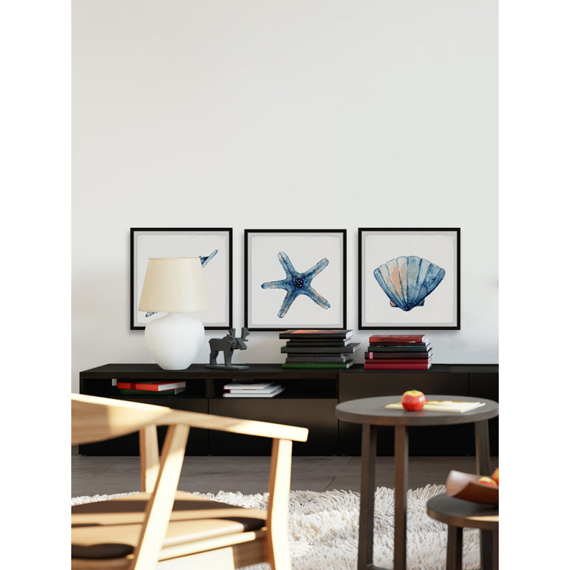 Erie Starfish And Shells by Marmont Hill - 3 Piece Single Picture Frame Painting Set, 61cm H x 61cm W x 3.81cm D