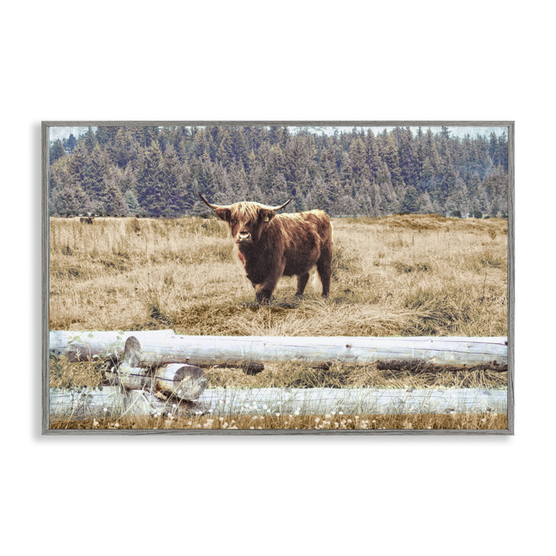Art de giclée encadré blanc par Gail Peck, Estampe numérique Farmhouse, H 20 po x l 30 po