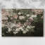 Motif floral rétro-XXI - galerie Cavas-1293244081