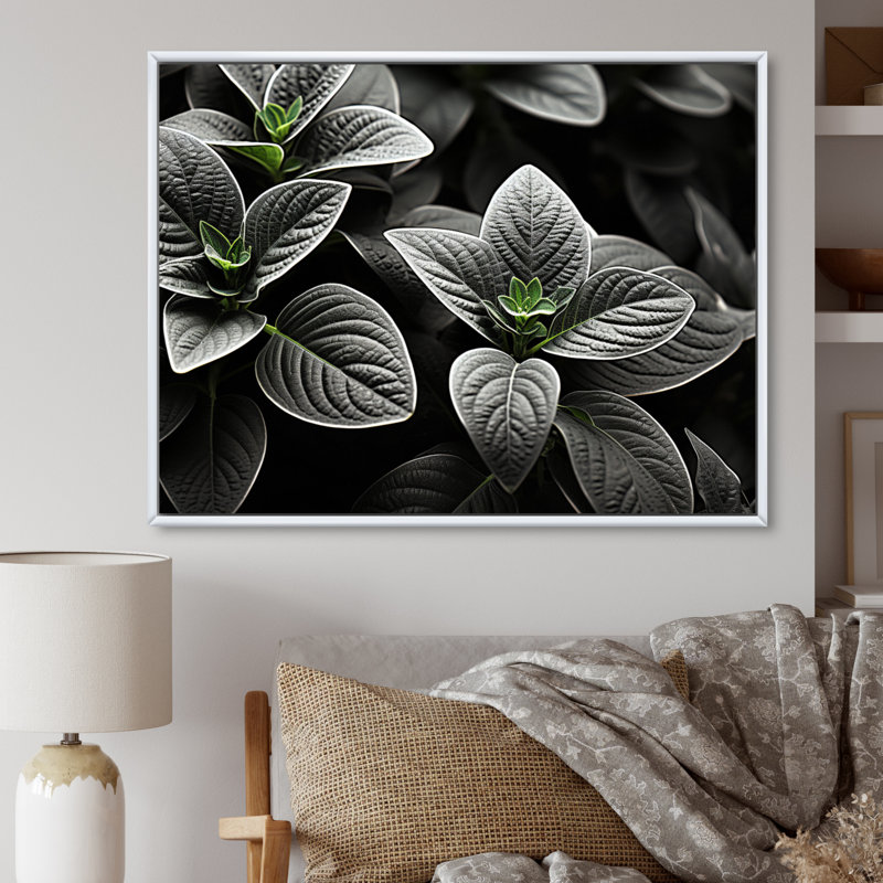 Plantes grises, sérénité botanique sur toile, H 30 po x l 40 po x P 1,5 po, Cadre flottant blanc