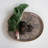 Stoneware Decorative Plate 2