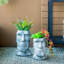 Easter Island Planter