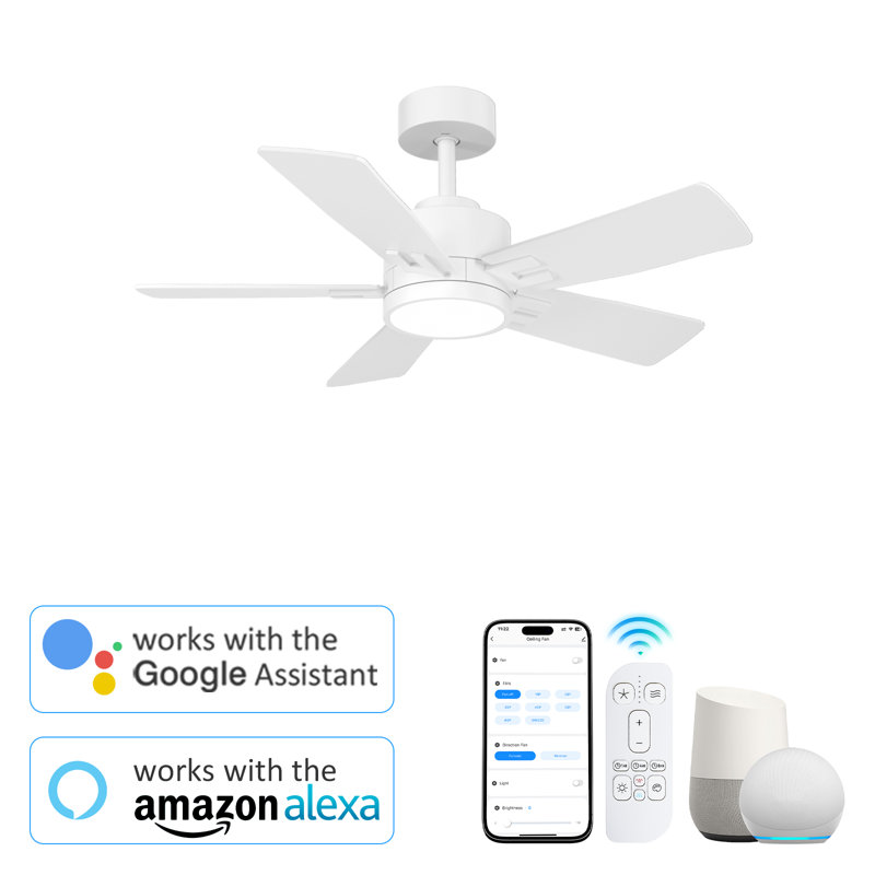 Modern White Smart Ceiling Fan With Light And 5 Wood Blades, 42" Wide