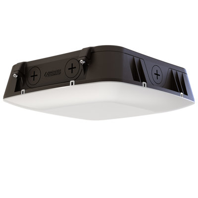 Lithonia Security Light