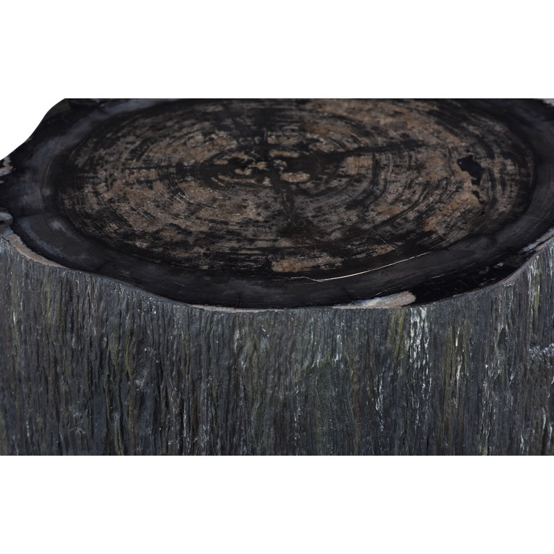 Table basse Chaka Petrified, brute, noire, courte, 15" H x 26" W x 23" D