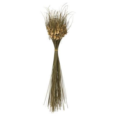 26'' Grass