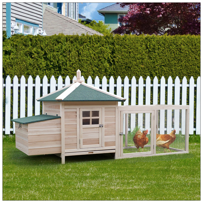 Poulailler en bois de 77 pouces avec nichoir, plateau amovible et rampe pour le jardin ou la cour, finition naturelle