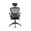 Milda Polyester Blend Executive Chair with Headrest-1453267617