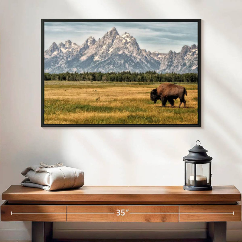 Bull Bison à Grand Teton, 25 po x 17 po, Cadre flottant noir