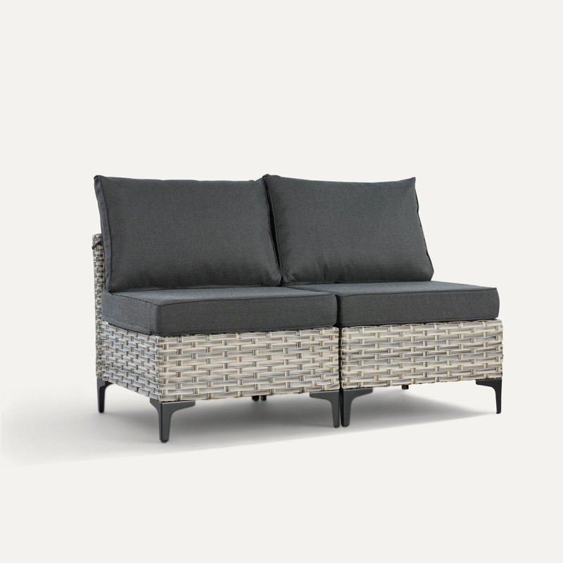 Emroy 2- Piece Patio Chair With Cushions, Black