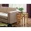 Ackerman Nesting Tables-15849086