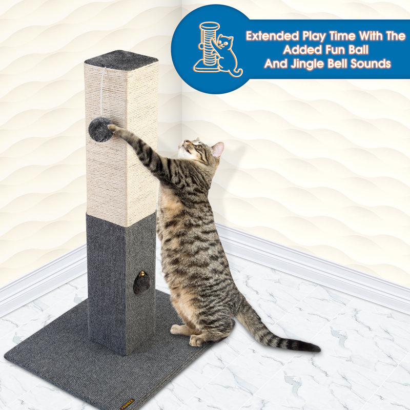 Scratching Post