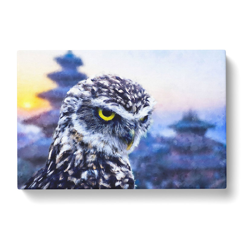 Owl In Nepal - Wrapped Canvas Print, 60cm H x 91cm W x 3cm D