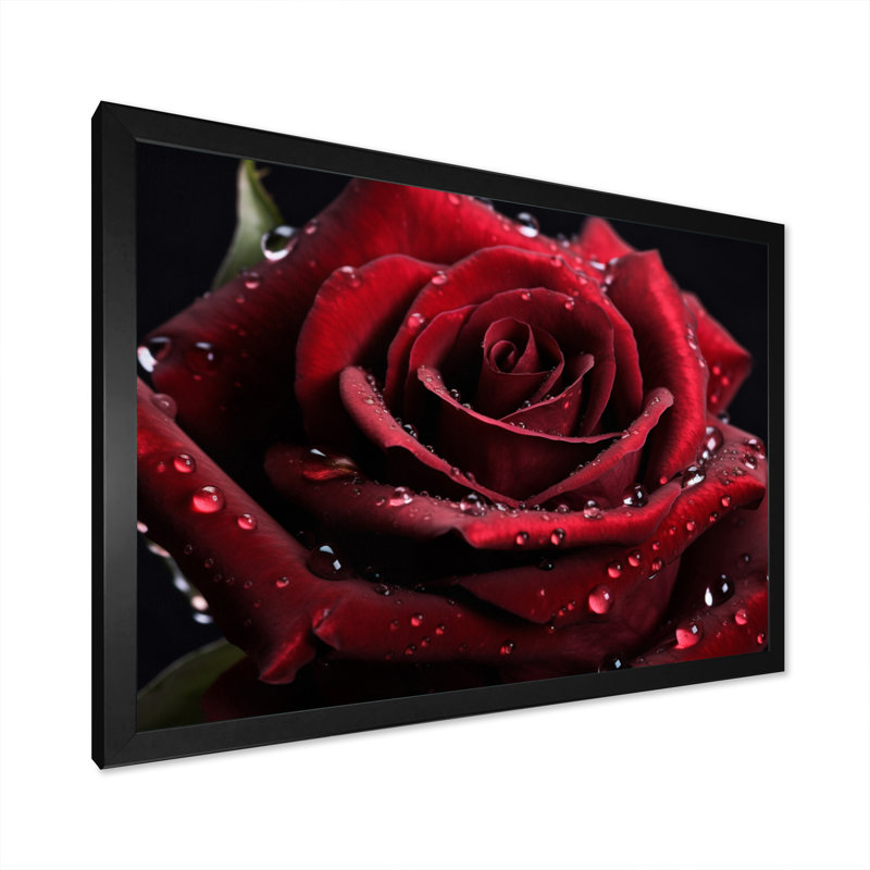 «Red Rose with Raindrops II», reproduction sur toile encadrée, Cadre simple noir, H 12 po x l 20 po x P 1 po
