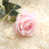 Pink Heart is out of stock