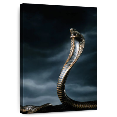Poisonous Cobra