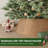 Rattan Tree Collar-119232220