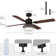 Ebern Designs 52”Modern Ceiling Fan With Light And Remote Control