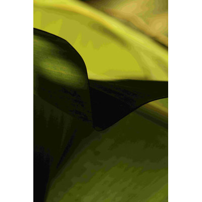 Feuille détaillée II
