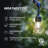 Ambience Pro 48 ft. Solar-Powered Outdoor LED String Lights with 15 Warm White S14 Bulbs, Weatherproof and Commercial-Grade Cord