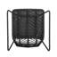Ensemble de 2 chaises d'extérieur en rotin tissé noir avec coussins gris