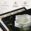 Impression sur toile Dewdrops On White Rose-102858802