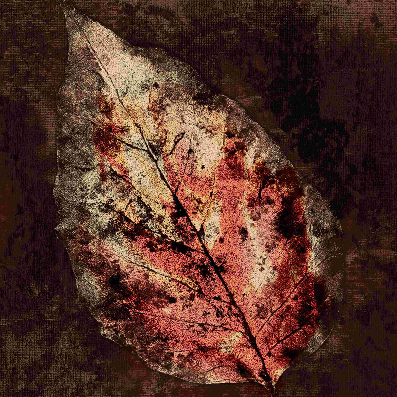 Feuille abstraite - peinture sur toile tendue, H 12 po x l 12 po
