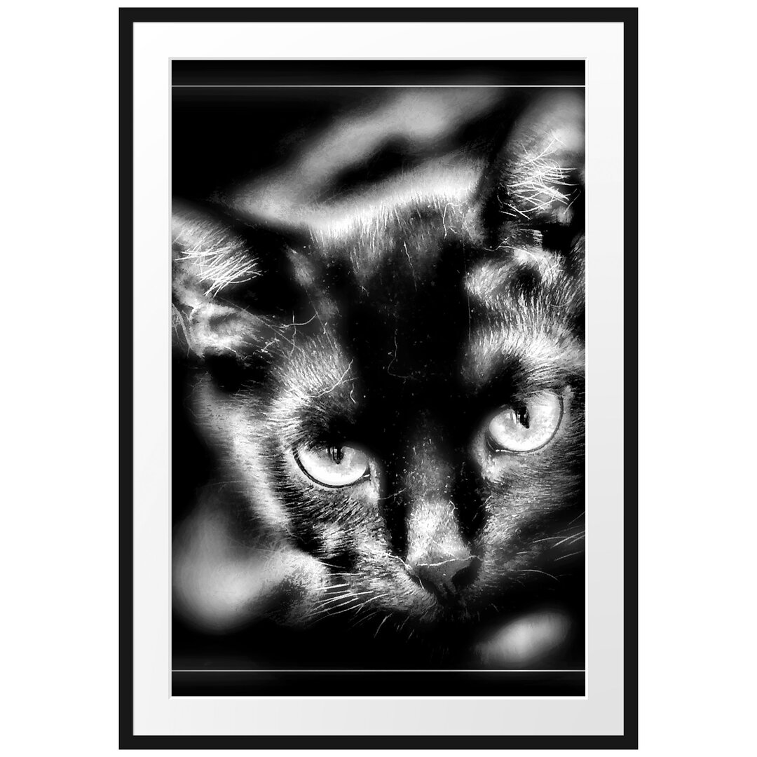 Gerahmtes Poster Schöne schwarze Katze