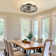 19'' Dimmable Caged Ceiling Fan with LED Lights