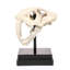 Saber-Toothed Tiger Skull Artifact Figurine
